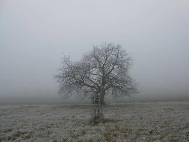 Českorájská BRADA Českorájská BRADA