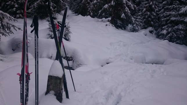 První jízda na běžkách První jízda na běžkách