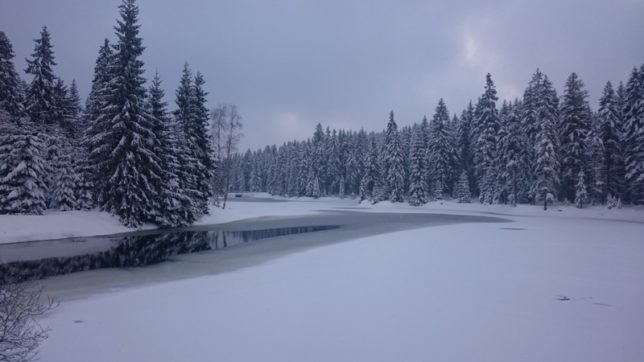 Druhá jízda na běžkách – trápení s lepivým sněhem Druhá jízda na běžkách – trápení s lepivým sněhem