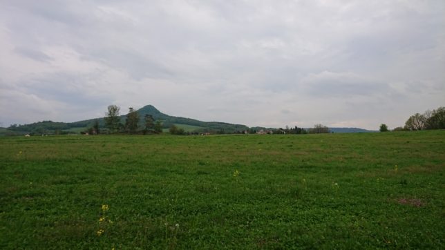 Ronov s vůní konvalinek