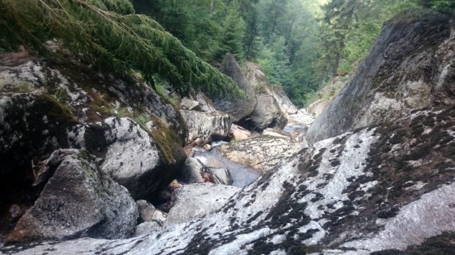 Adrenalinový výstup korytem Černého potoka Adrenalinový výstup korytem Černého potoka