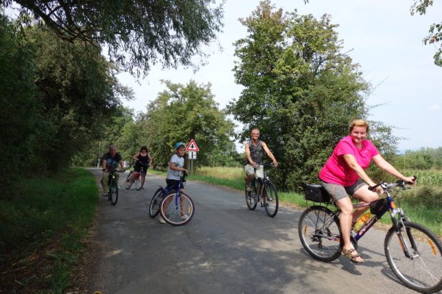 Březina, Mnichovo Hradiště, Bakov